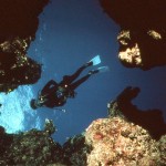 Ann scuba diving in the Red Sea.