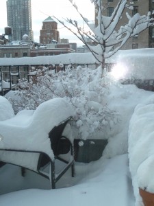 6 First snow