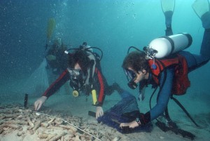 Staking out a burrow